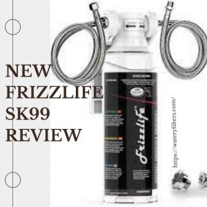 Frizzlife-SK99-Review-and-Buying-Guide